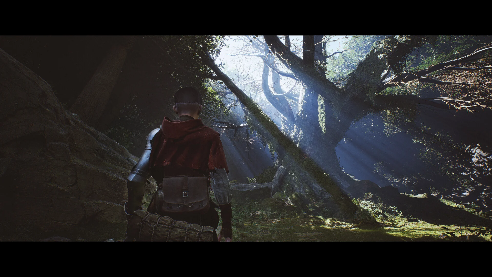 1348 Ex Voto - Image 4